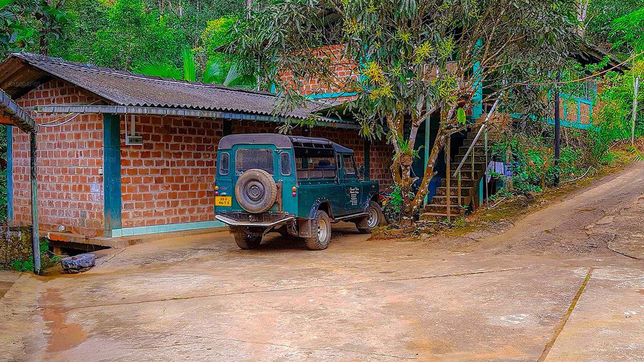 Martin's Lodge, Sinharaja