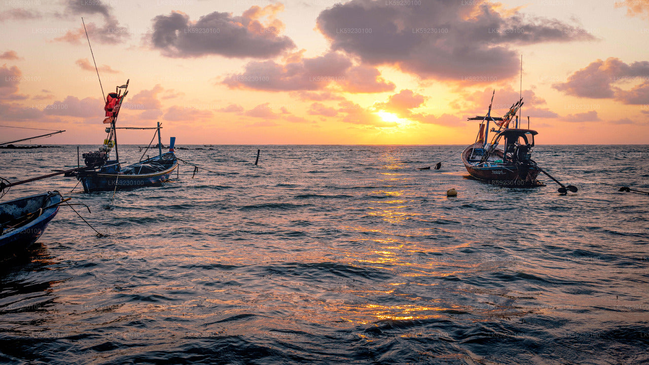 Have Fun by Fishing in the DEEP with trolling fishing rods - Picture  of Trinco Blue Water Sports, Trincomalee - Tripadvisor