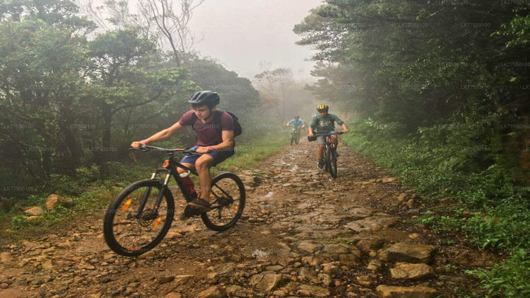 Cycling from Ohiya