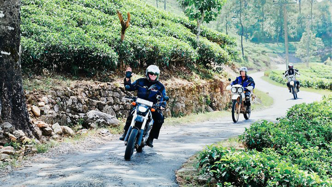 Ride through Cultural Triangle Guided Motorbike Tour in Sri Lanka (4 Days)