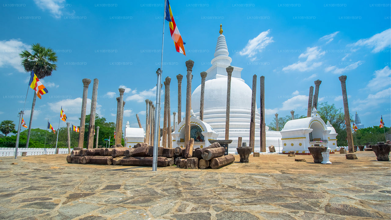 Buddhist PIlgrimage Tour (12 Days)