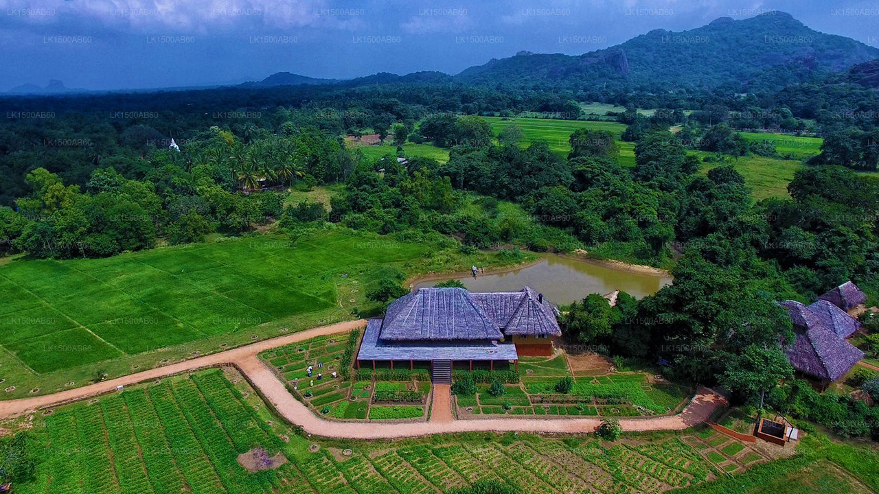 Amuna Ayurveda Retreat, Sigiriya
