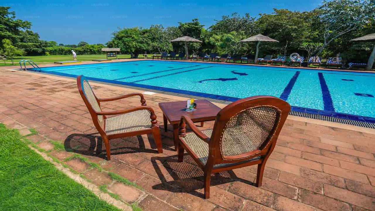 Camellia Resort and Spa, Sigiriya