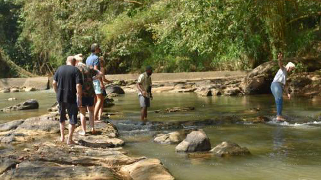 Athgira River Camp, Udawalawe