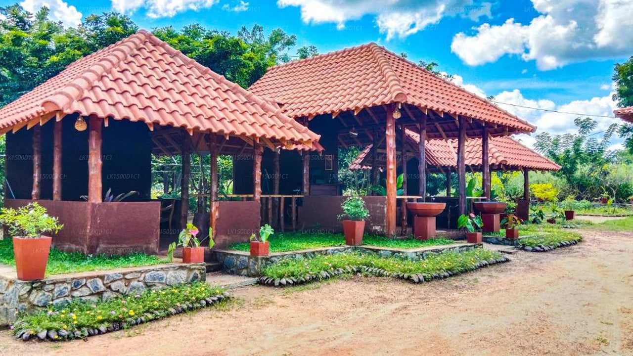 Ceylon Amigos Eco Resort, Sigiriya