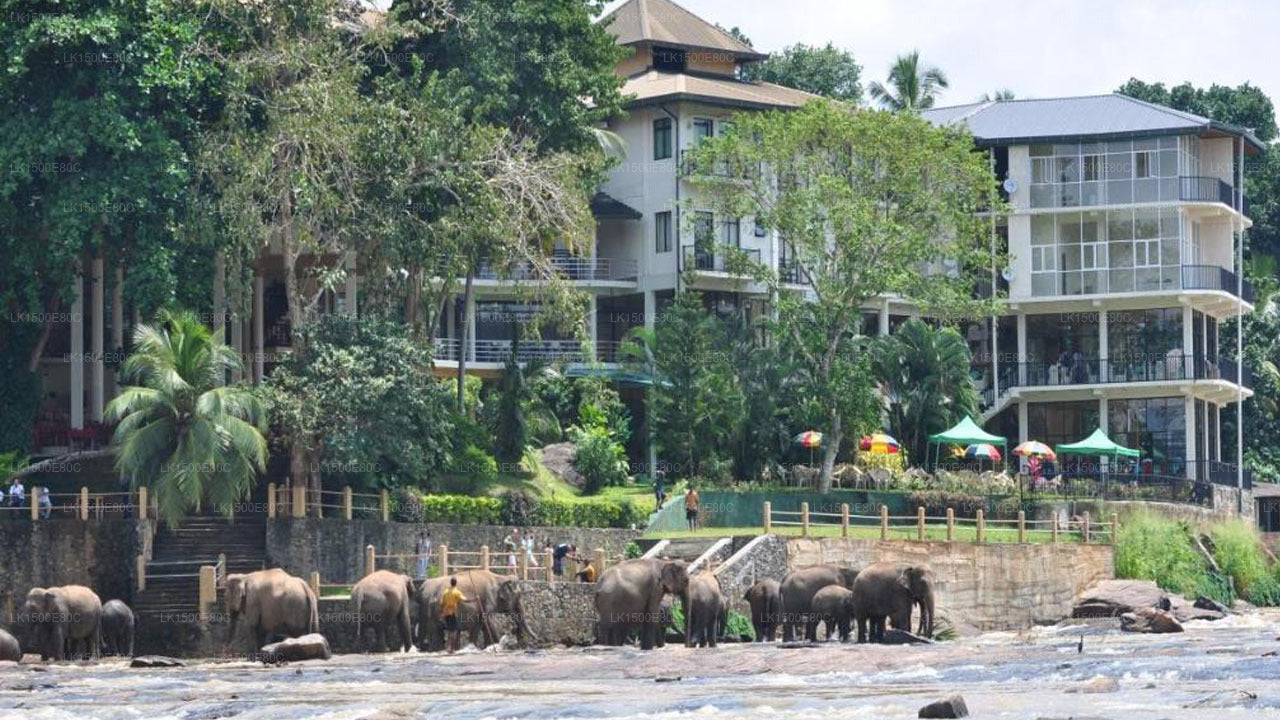 Hotel Elephant Bay, Pinnawala