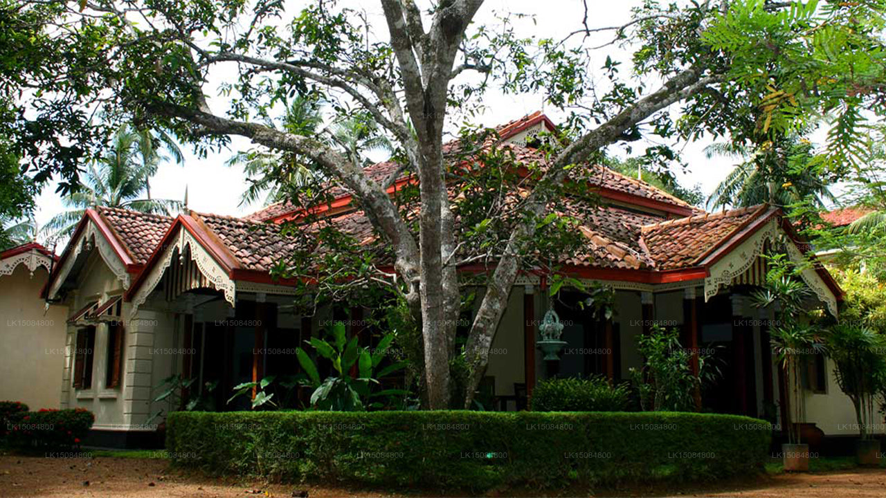 Sri Mathie Villa, Habaraduwa