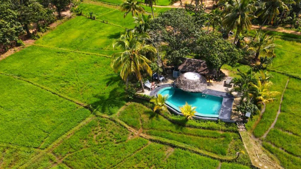 Nelu Village Sigiriya