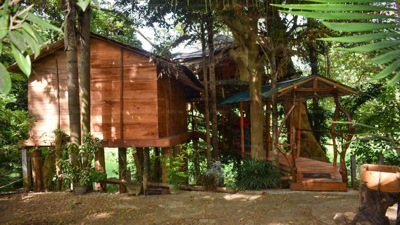 Villa Kumbuk Tree House, Tissamaharama