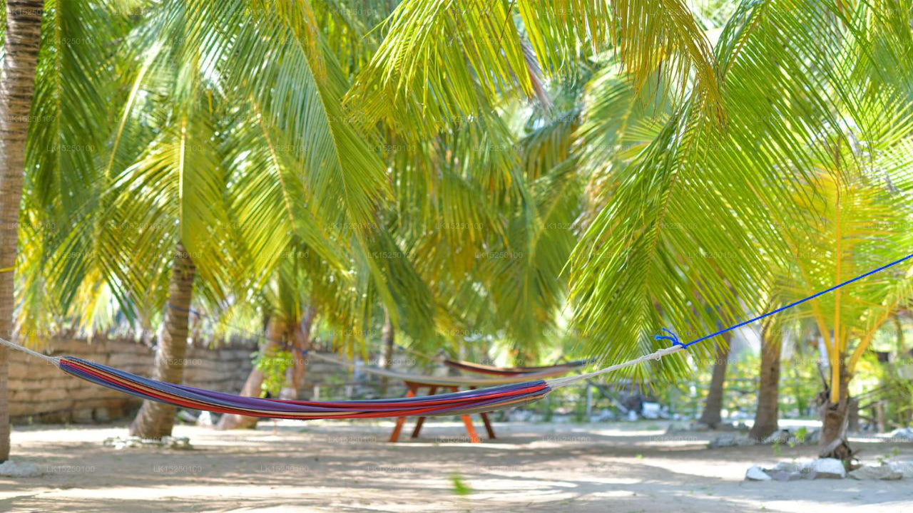 De Silva Palm Resort