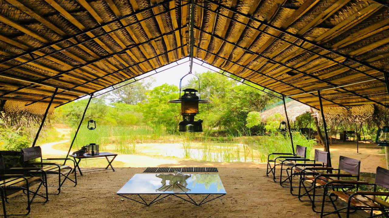 Eco Team Safari Camps Yala