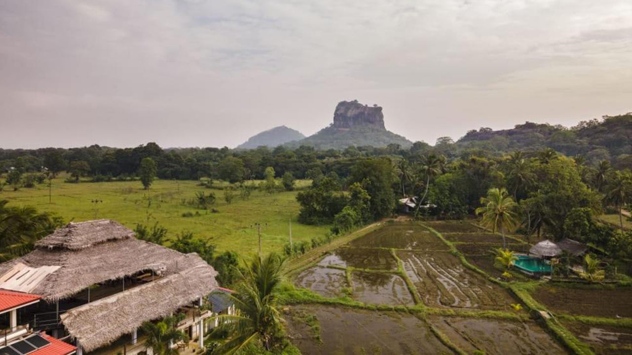 Nelu Villa Sigiriya