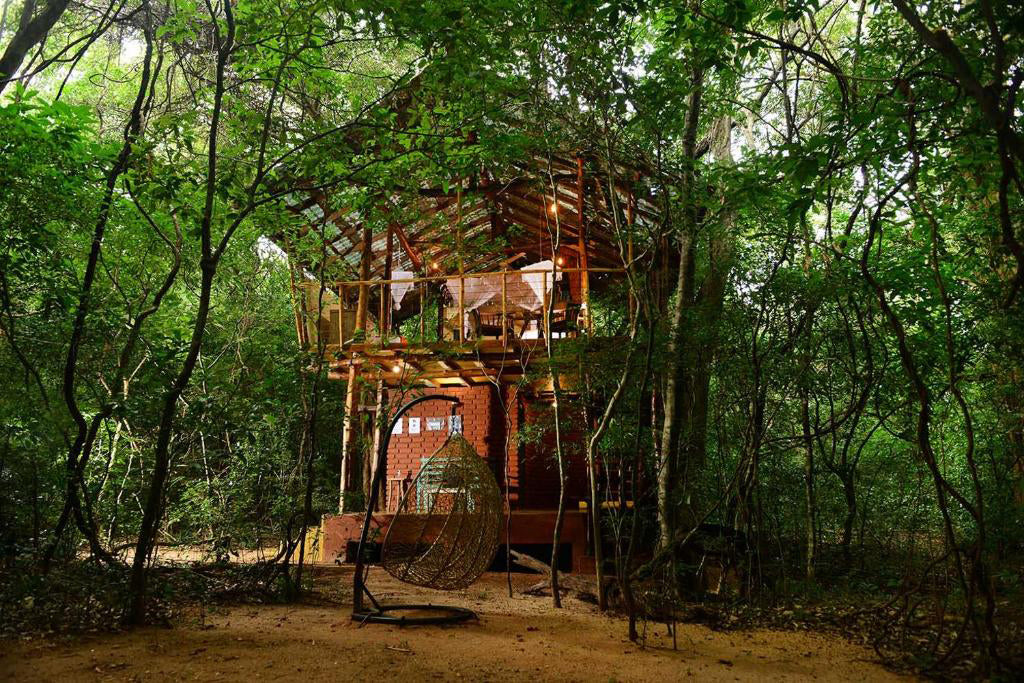 Back of Beyond - Jungle Hideaway, Pidurangala