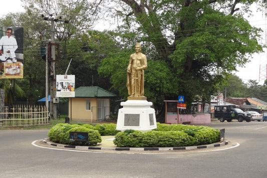 Joes Habarana Village, Habarana