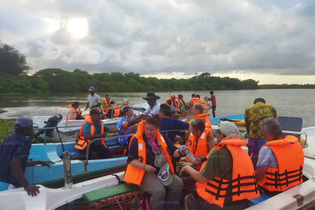 Walawe River Jungle Boat Safari