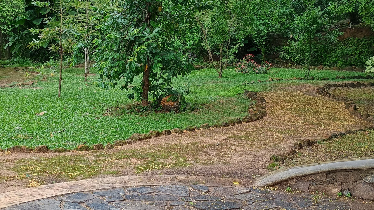 Discover Biodiversity at Midigama Fruit Farm