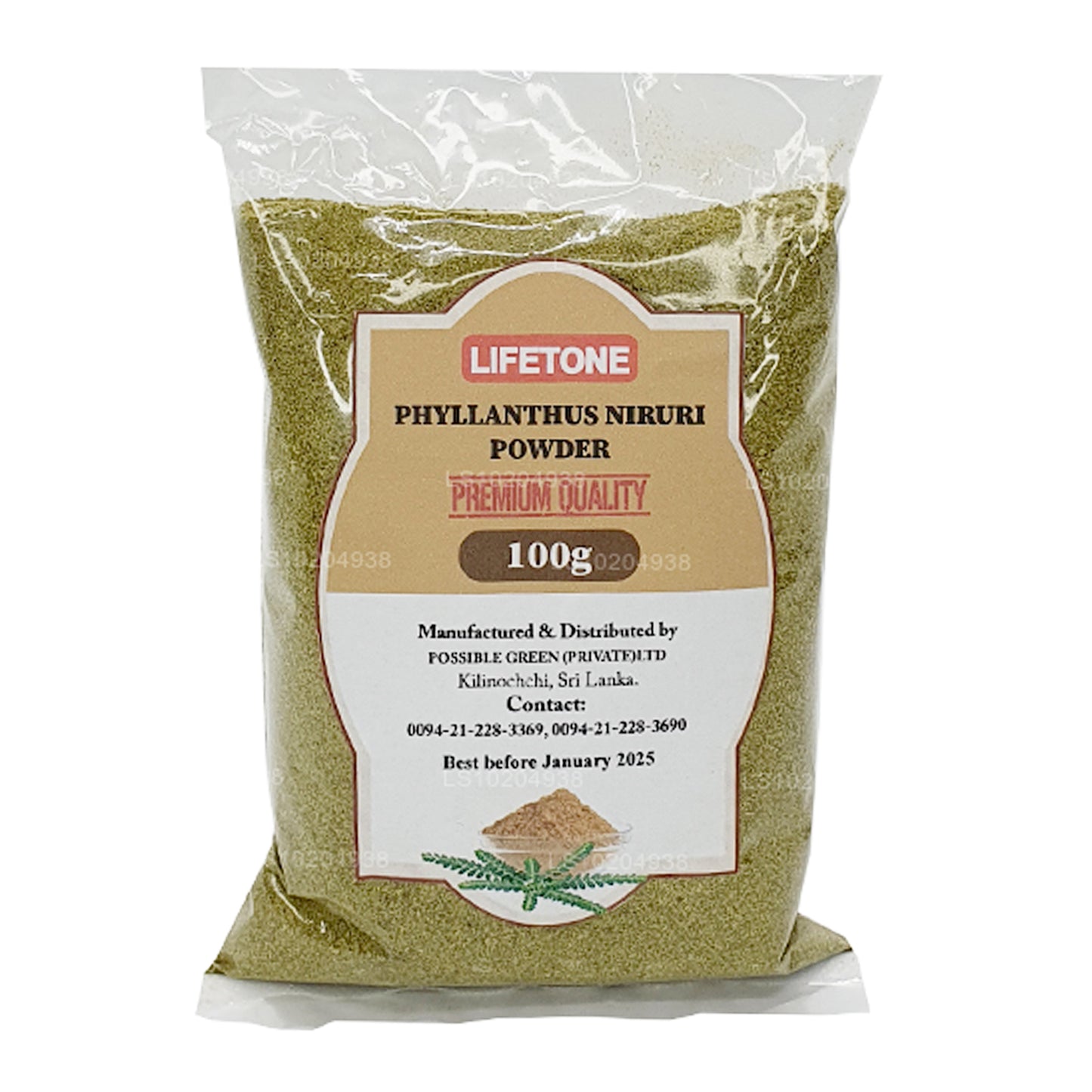Lifetone Phylanthus Niruri  Powder (100g)