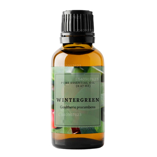 Lakpura Wintergreen Essential Oil (15ml)