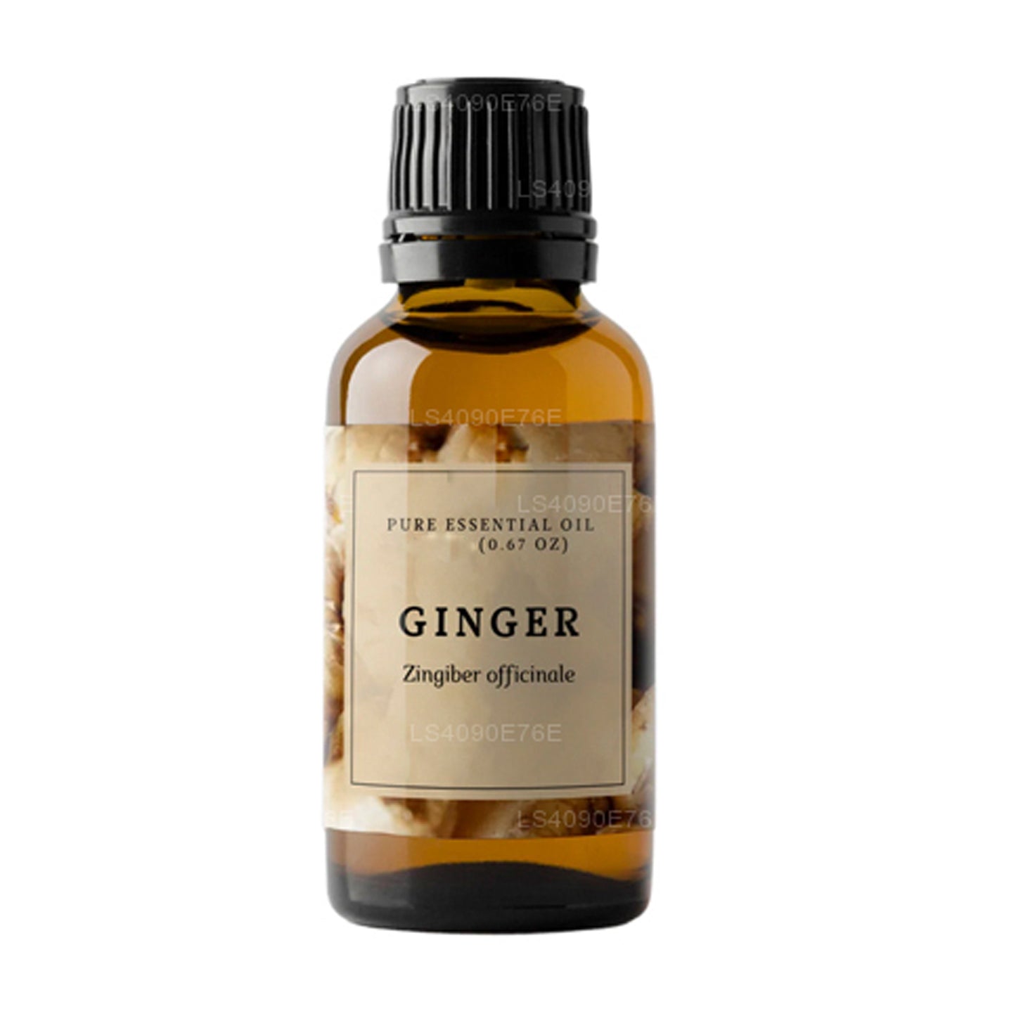 Lakpura Ginger Essential Oil (15ml)