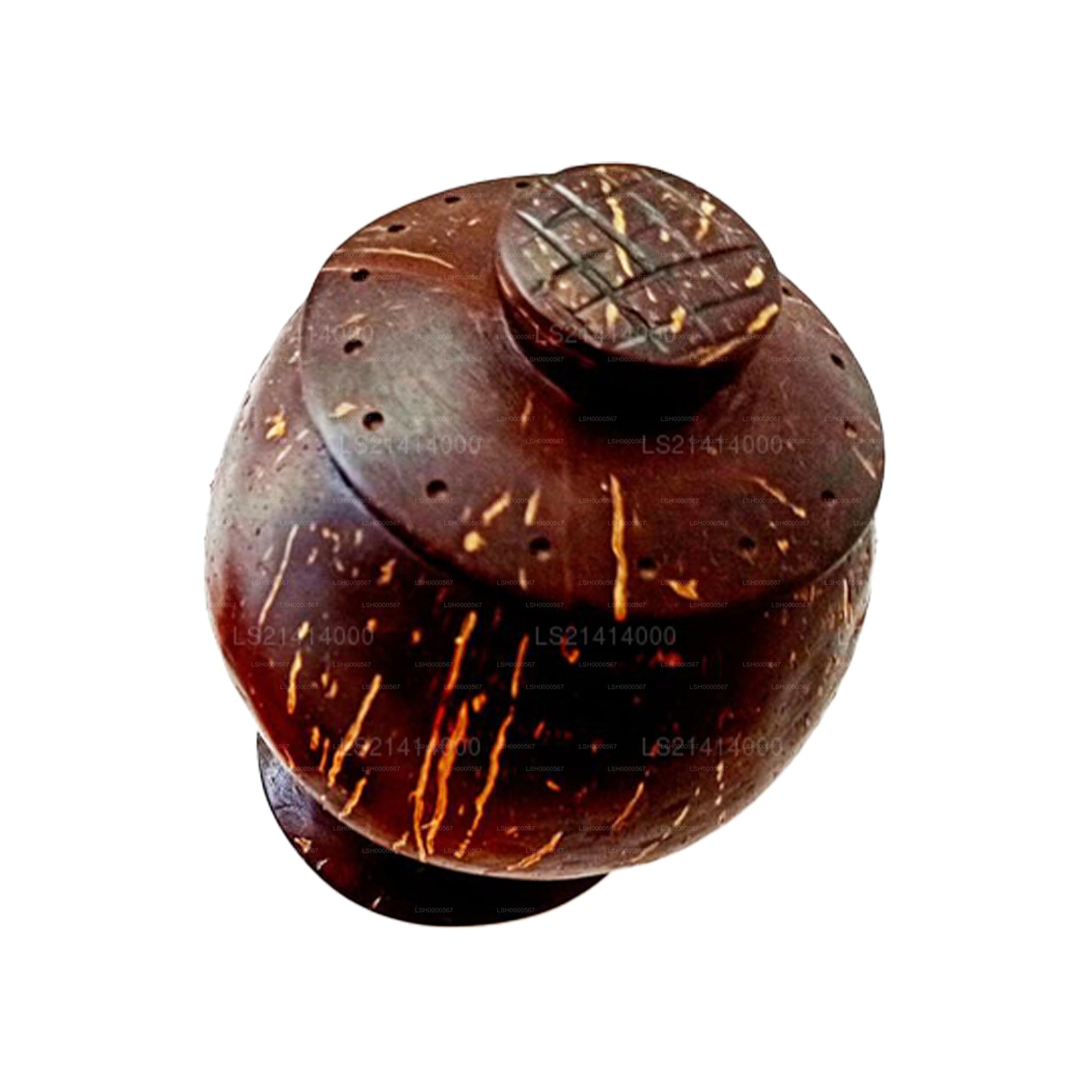 Coconut Shell Spice Bottle and Spoon