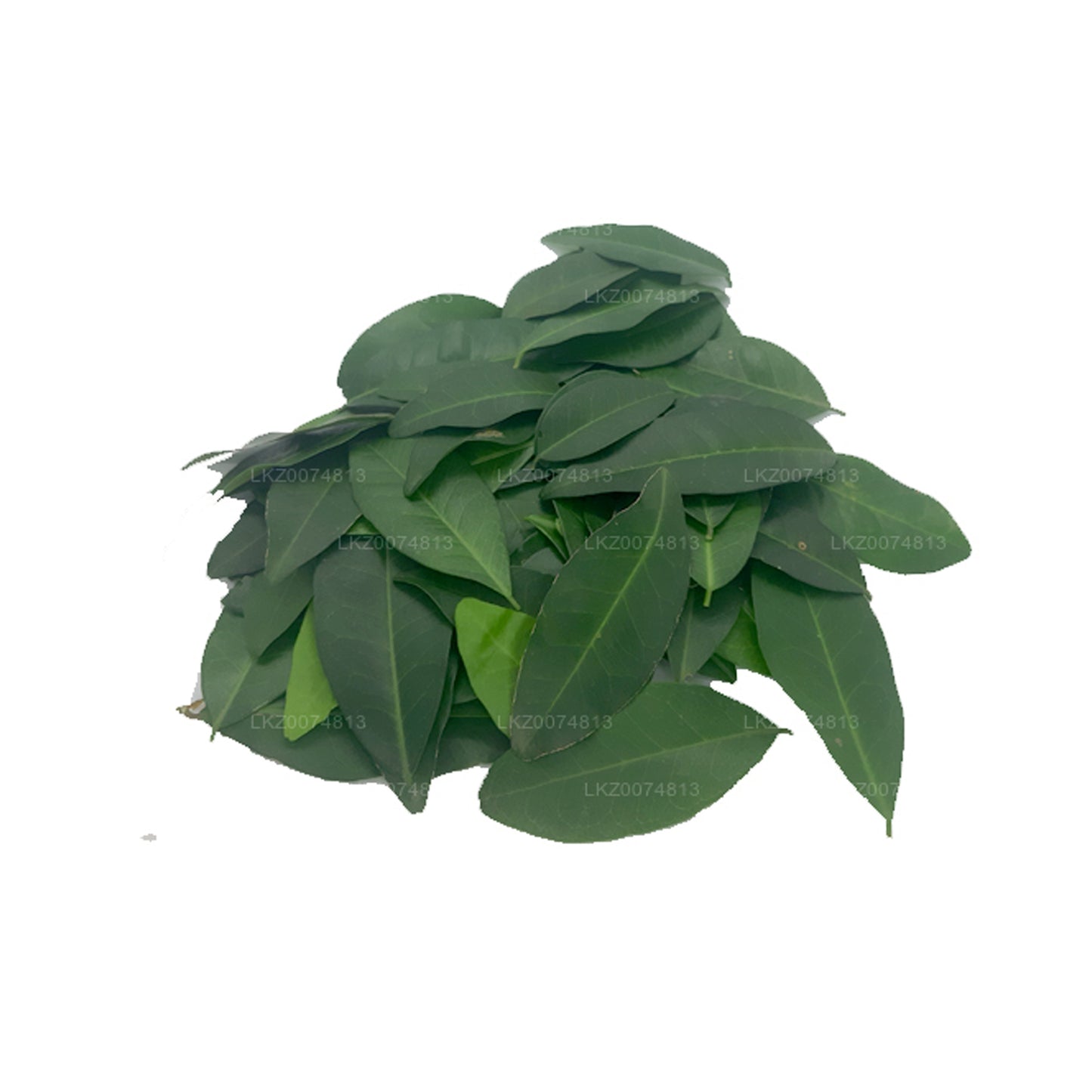 Lakpura Fresh Yaki Naran (Atalantia Ceylanica) 100 Leaves