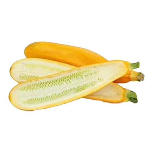 Zucchini Yellow