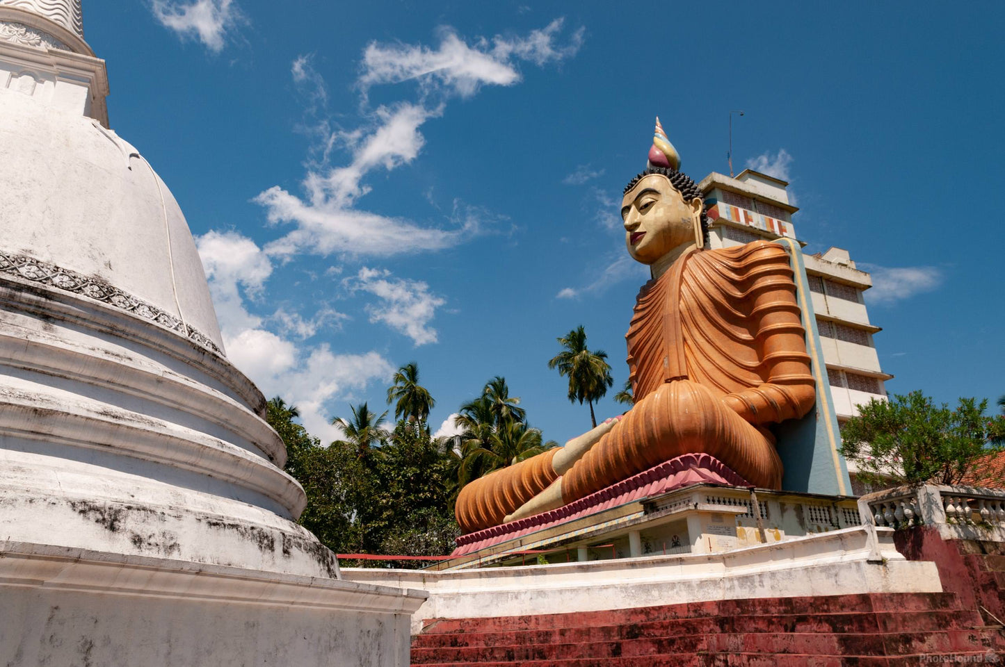 Temples and Wilderness from Colombo (2 Days)