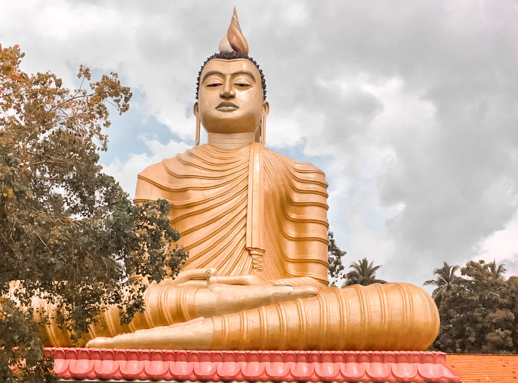 Temples and Wilderness from Colombo (2 Days)