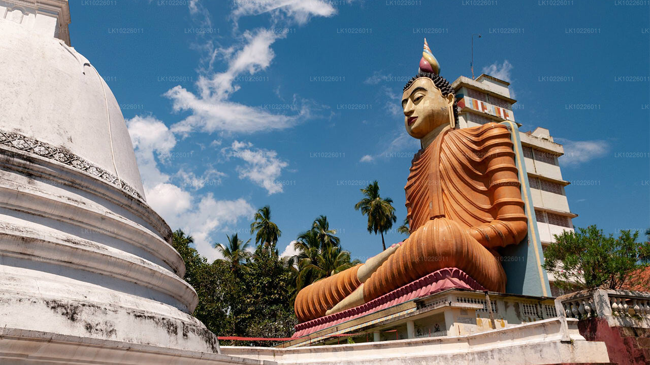 Temples and Wilderness from Negombo (2 Days)
