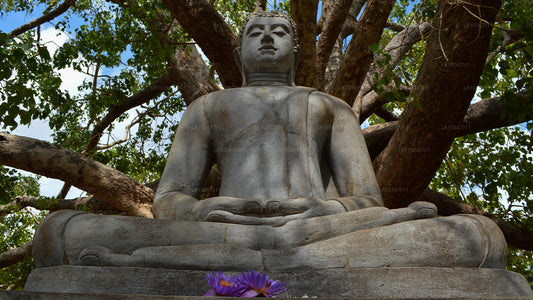 Sacred City of Anuradhapura from Colombo (3 Days)