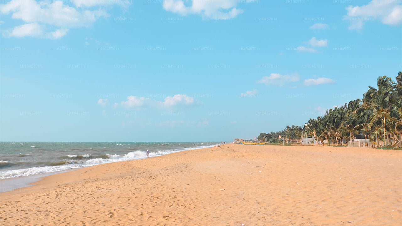 Beach and the City (4 Days)