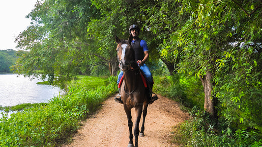 Horse riding tour (7 Days)