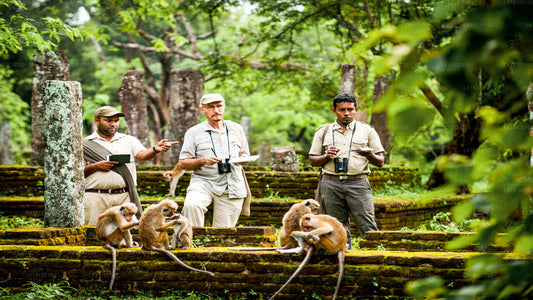 Explore the Monkey Kingdom from Polonnaruwa