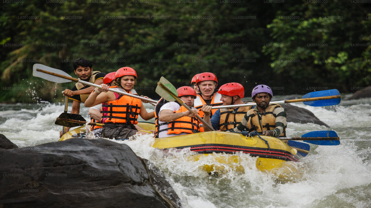 White Water Rafting for Beginners from Kitulgala