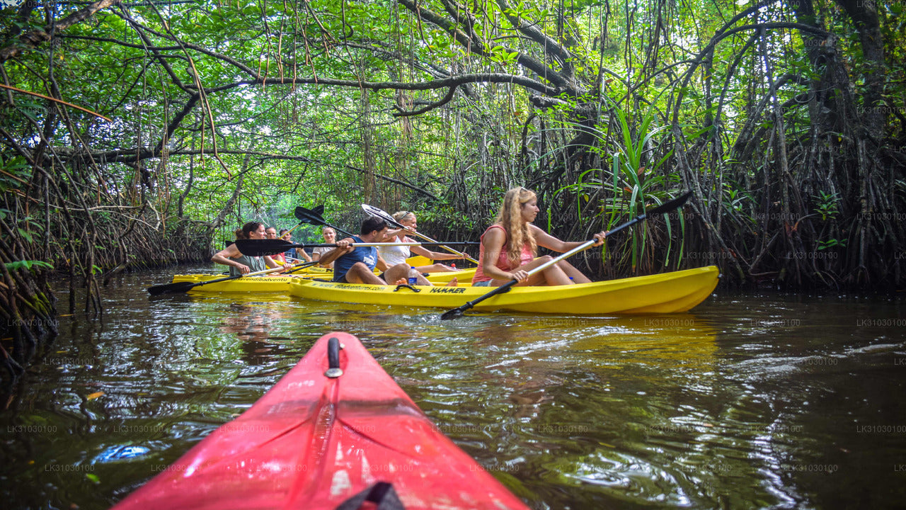 Kayaking from Bentota