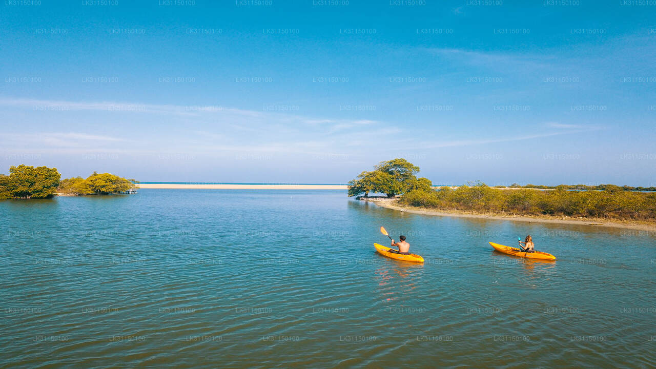 Kayaking from Kalpitiya Lagoon