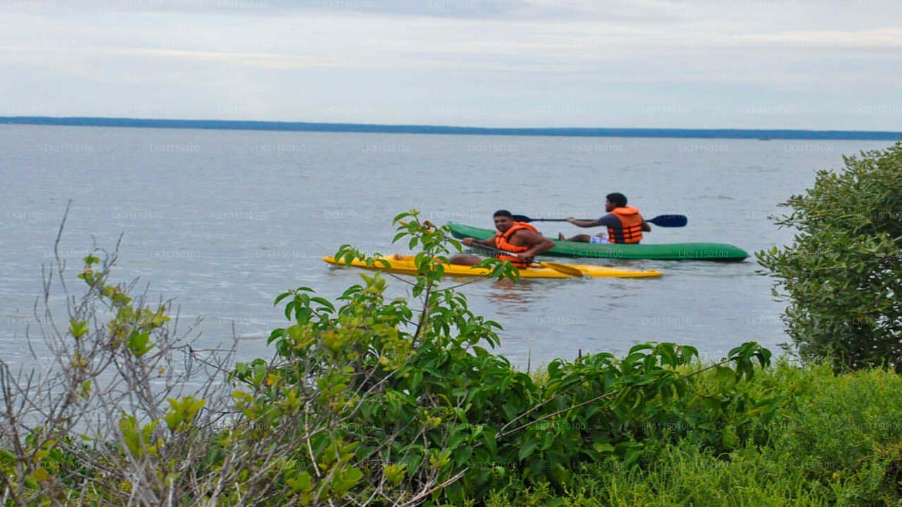 Kayaking from Kalpitiya Lagoon
