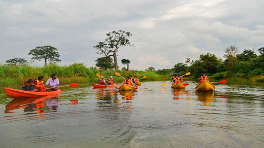 Kayaking from Habarana