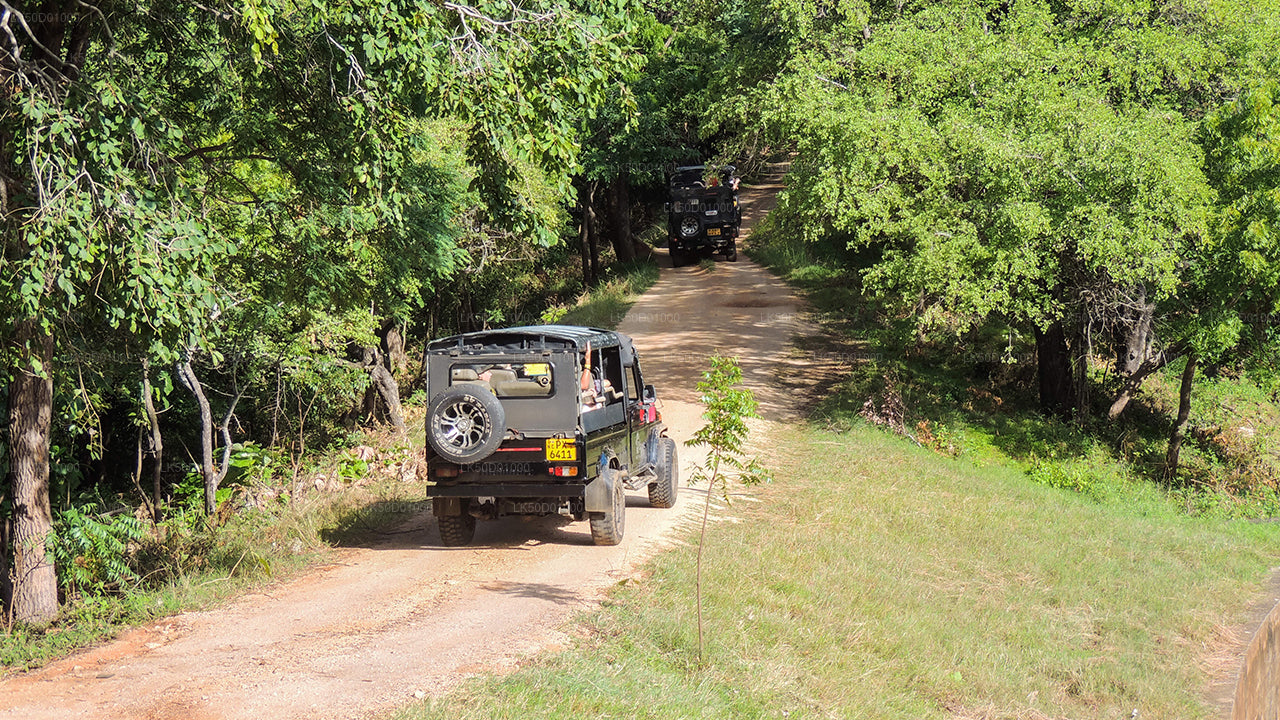Kaudulla National Park Private Safari