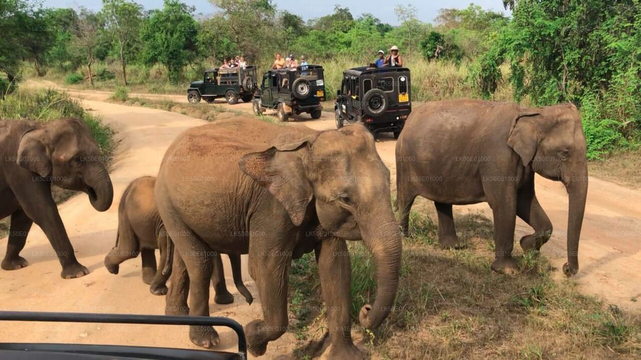 Hurulu Eco Park Private Safari