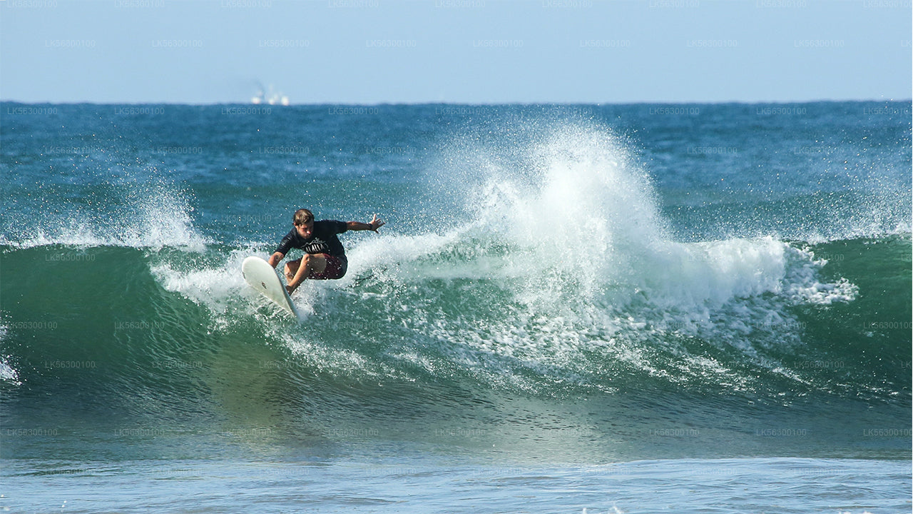 Surfing from Weligama