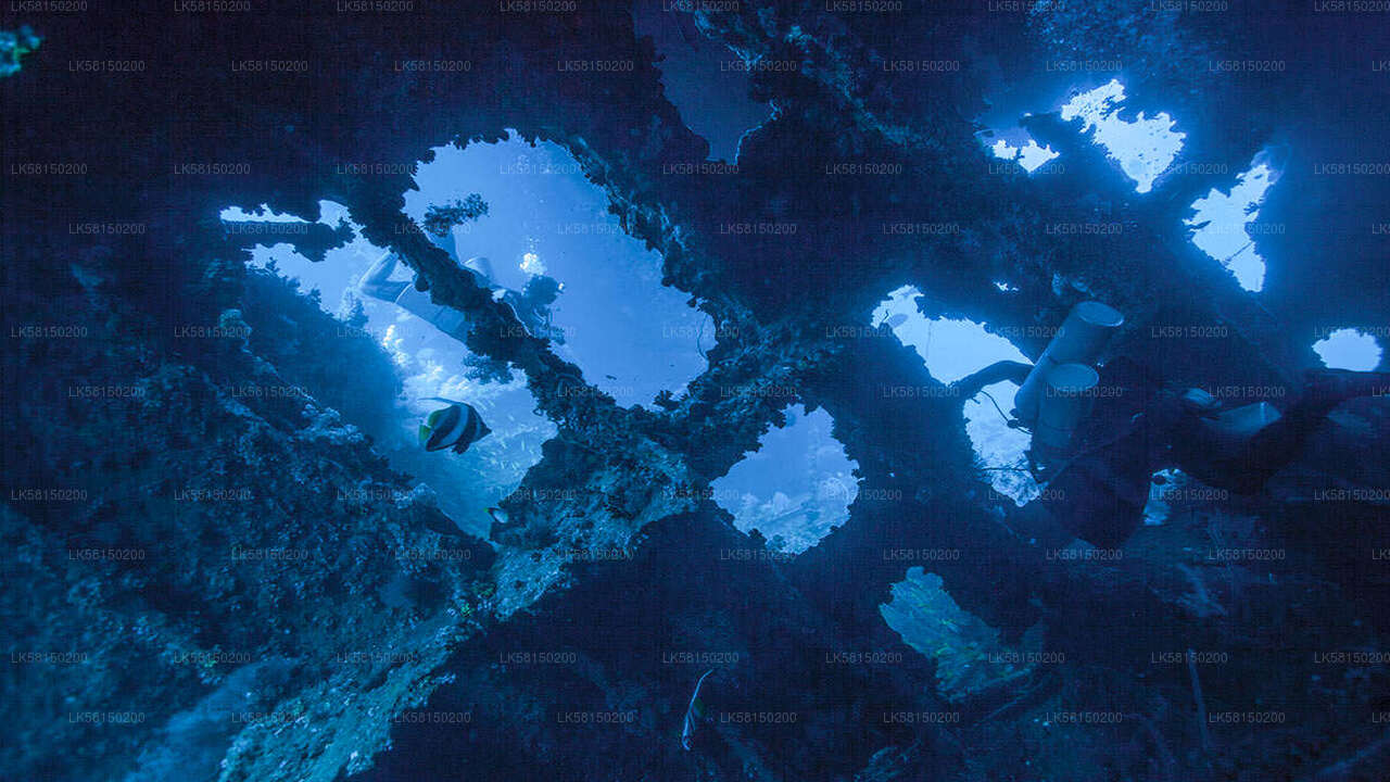Snorkeling in Bar Reef Marine Sanctuary from Kalpitiya