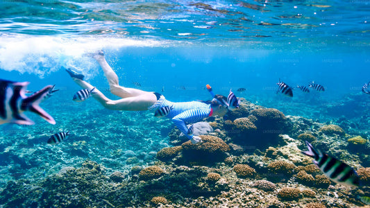 Snorkeling at Coral Island from Trincomalee