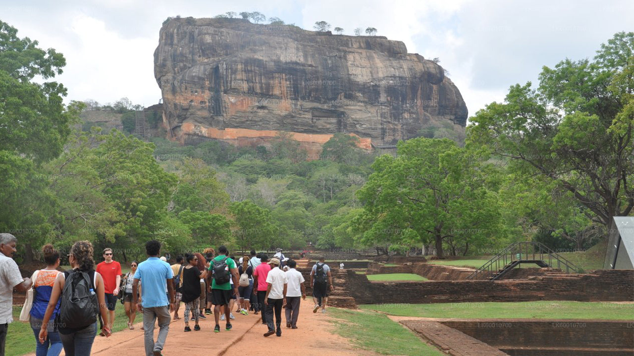 Sigiriya Rock and Village Tour from Colombo