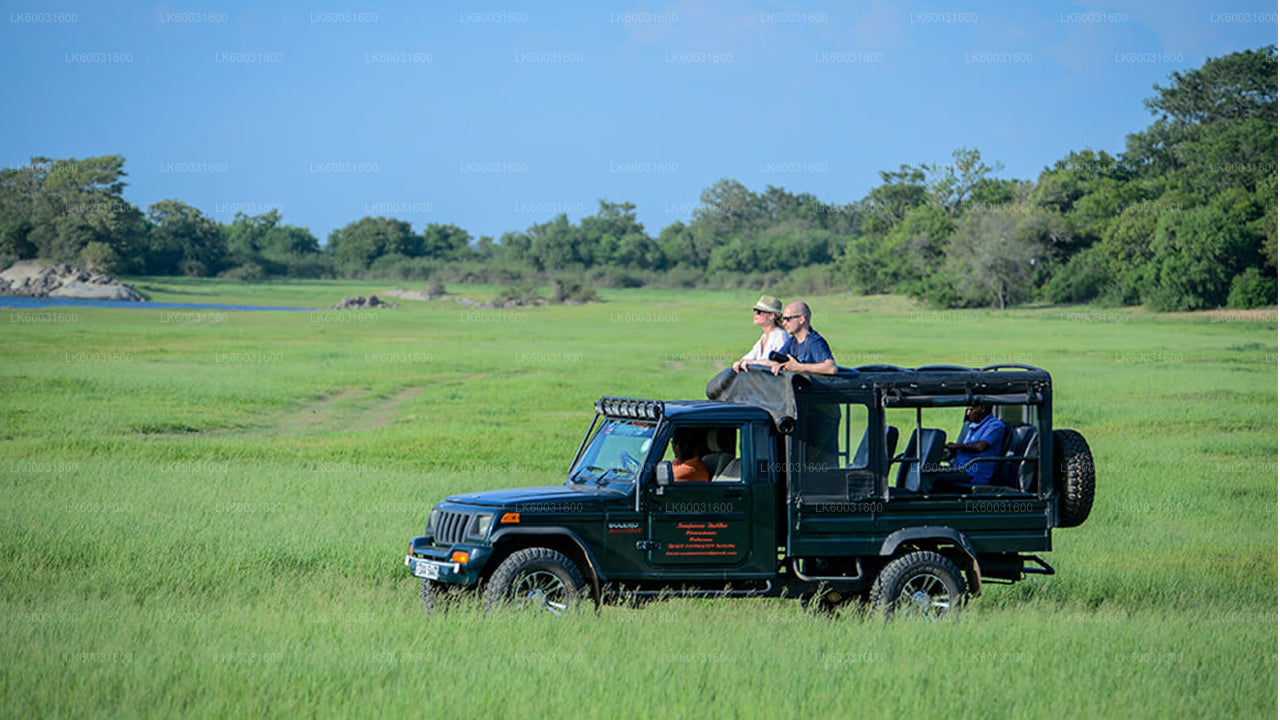Udawalawe National Park Safari from Bentota