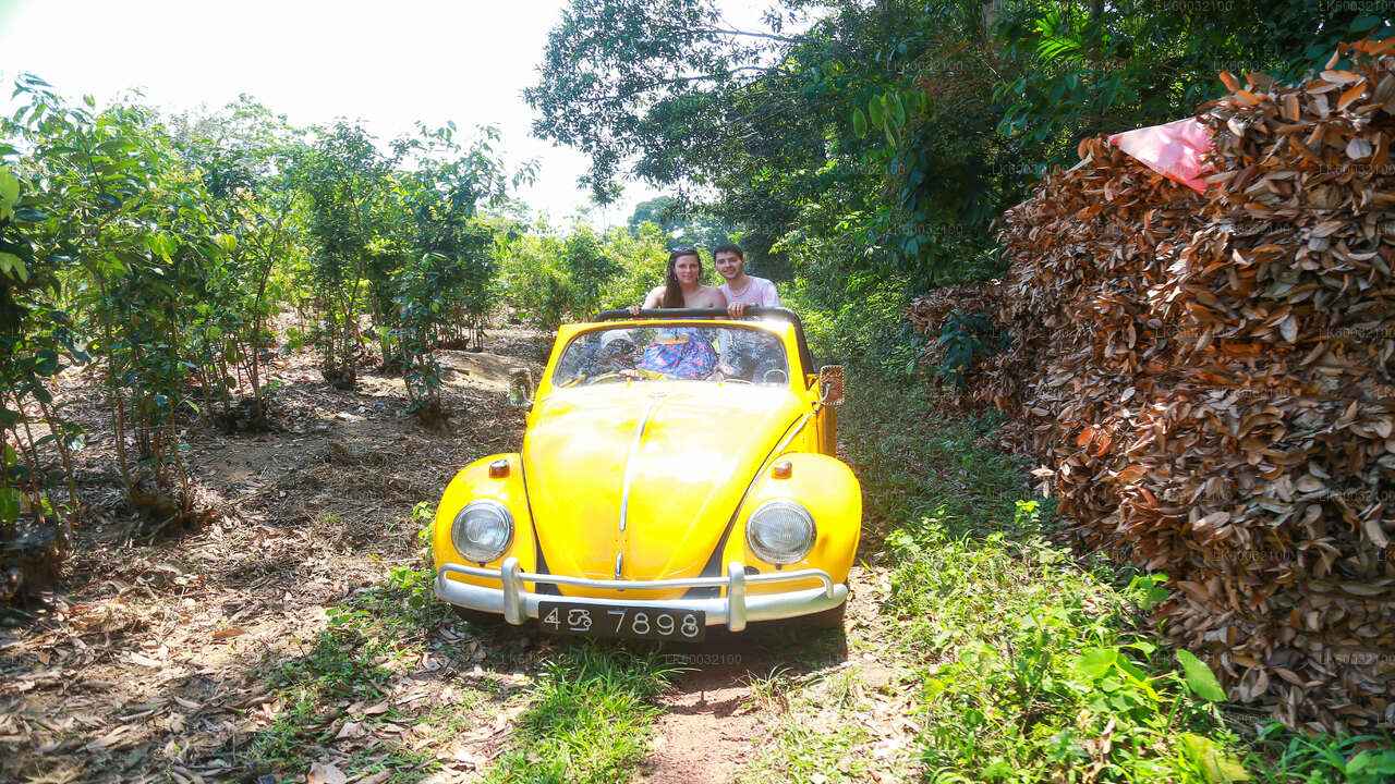 Bentota Countryside Tour by Classic Car