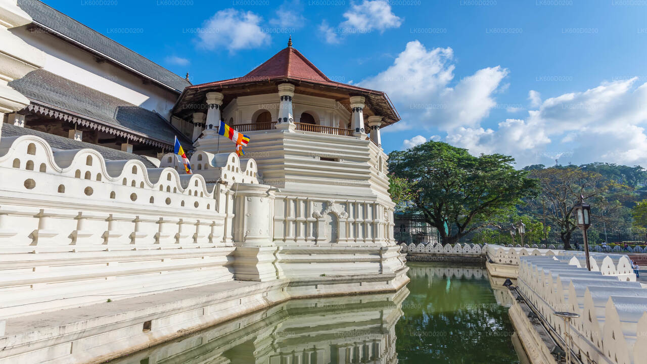 Kandy City Tour from Bentota