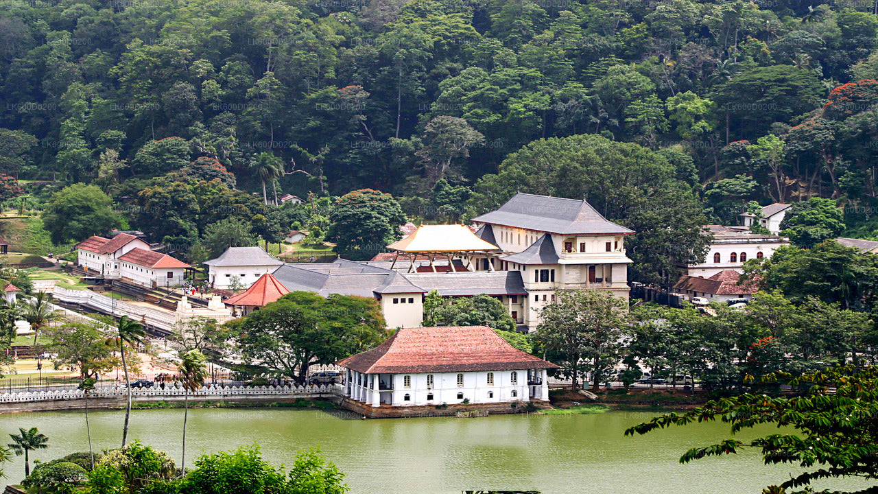 Kandy City Tour from Bentota