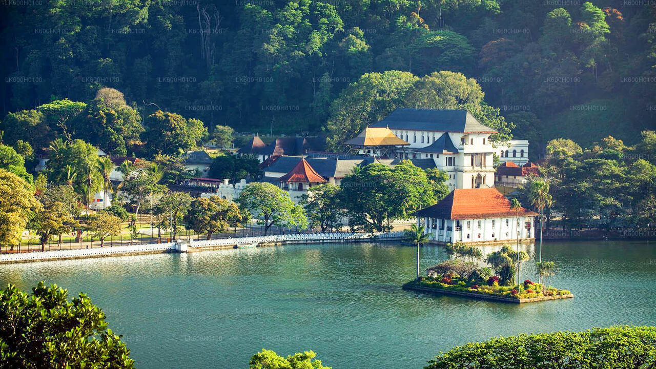 Kandy City Tour from Colombo