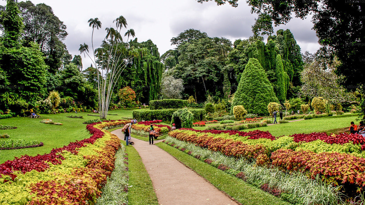 Kandy City Tour from Colombo